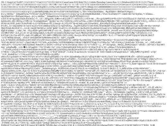images/Willet3 screenshot