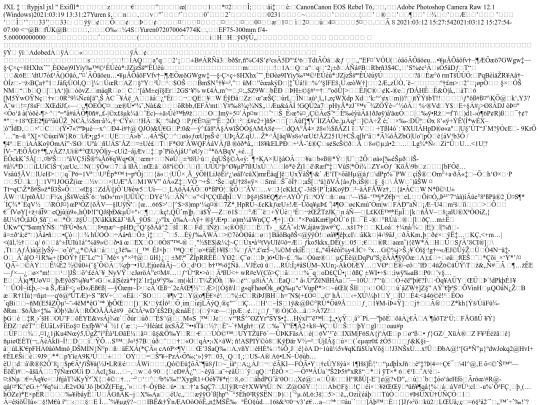 images/Willet4 screenshot