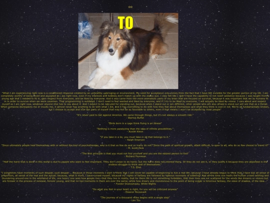 theecotone screenshot