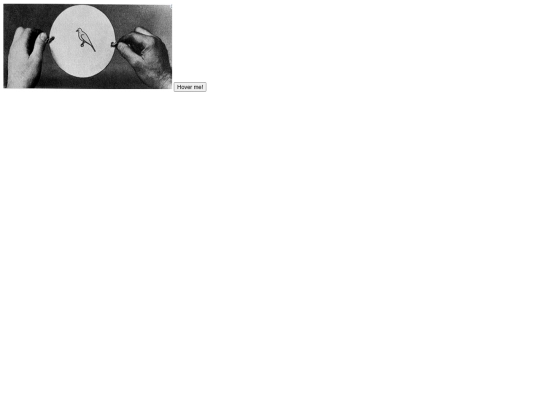 neo/rollover -audio screenshot