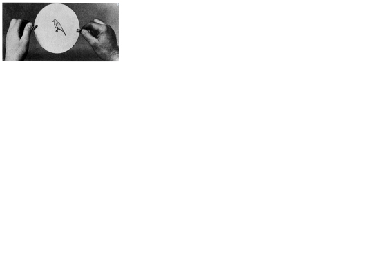 neo/rollover screenshot