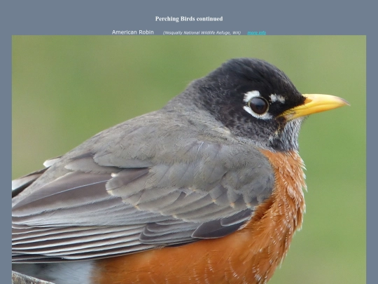 bird/Aspc10 screenshot