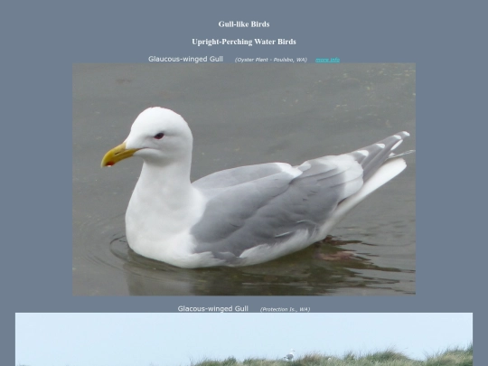 bird/Aspc2 screenshot