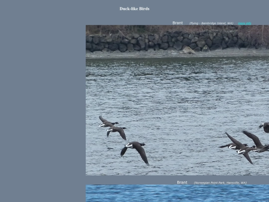 bird/Aspc3 screenshot