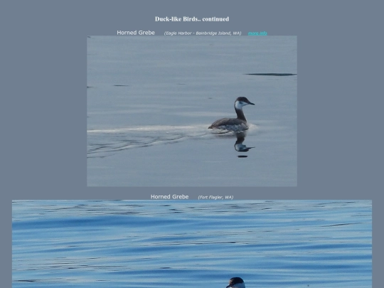 bird/Aspc4 screenshot