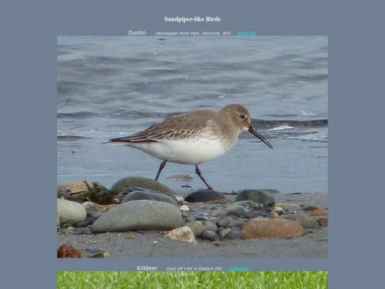 bird/Aspc6 screenshot