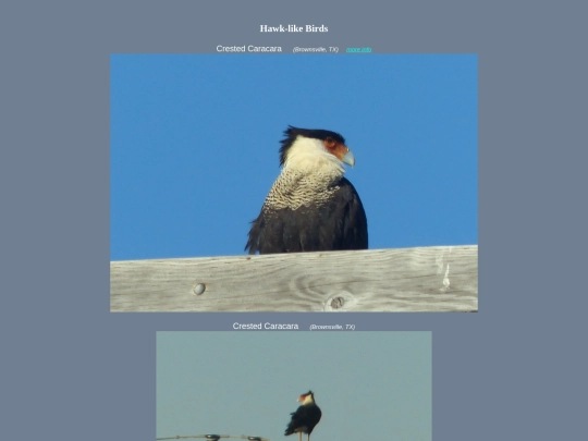 bird/Aspc7 screenshot