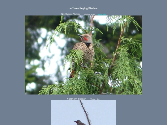bird/Aspc8 screenshot