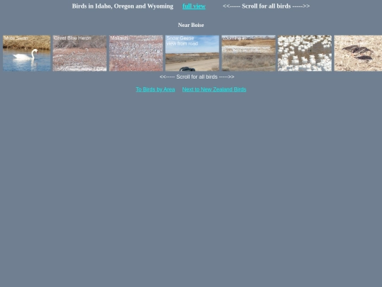 bird/ID20/MWhrz screenshot