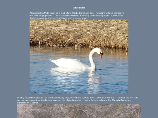 bird/ID20/id20 screenshot