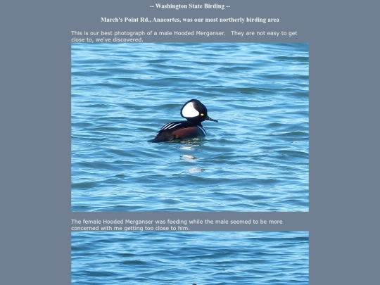bird/L2/WA screenshot