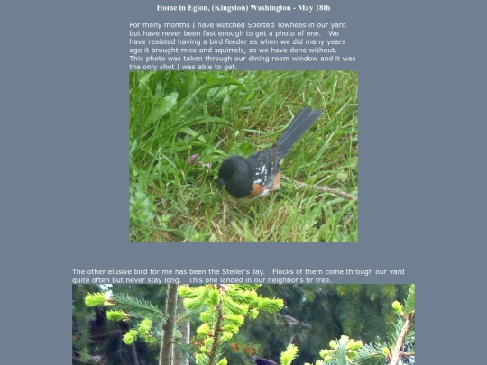 bird/L3/130518 screenshot