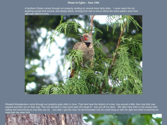 bird/L3/130624 screenshot