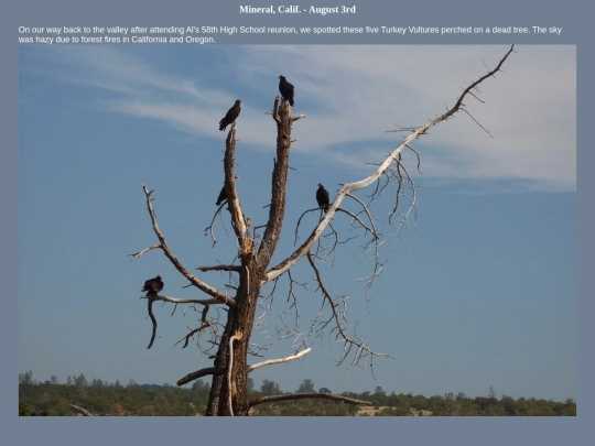 bird/L3/130805 screenshot