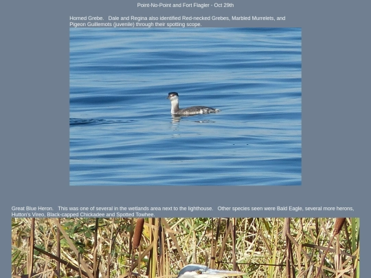 bird/L3/131029 screenshot