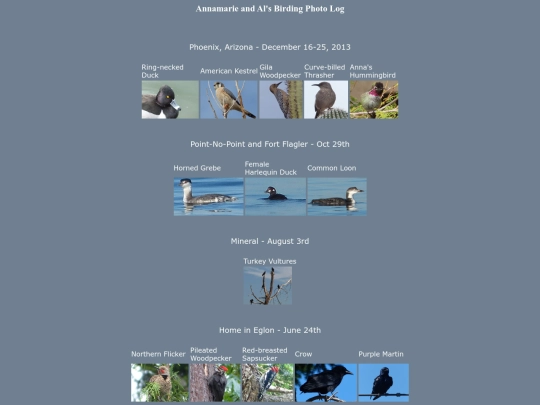bird/L3/log screenshot