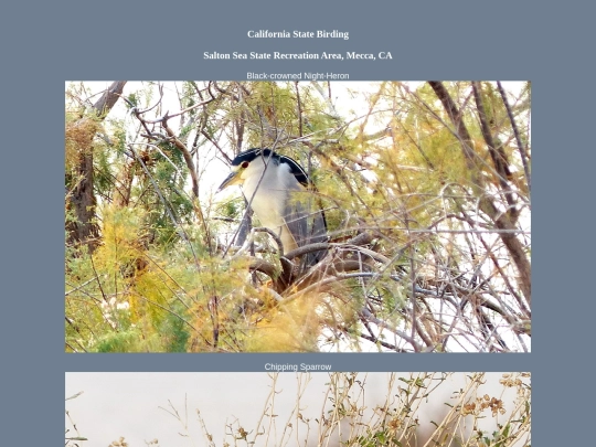 bird/L4/CA screenshot