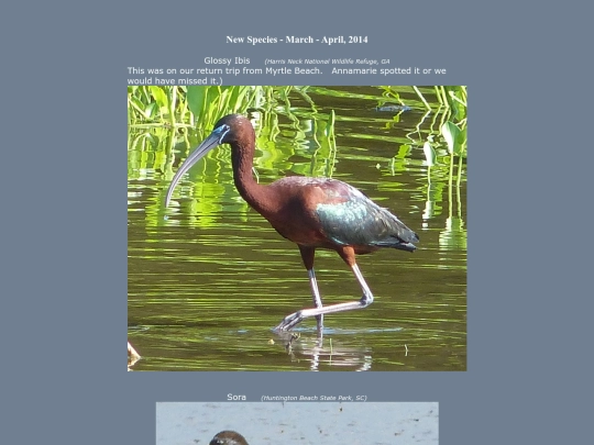 bird/L4/hh14/ns screenshot