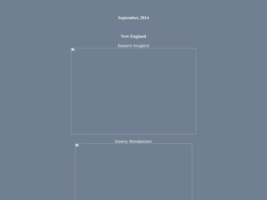 bird/L4/ne14 screenshot