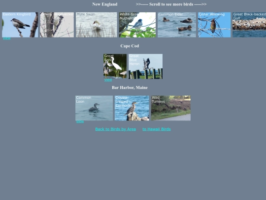 bird/L4/ne14/ne14hrz screenshot