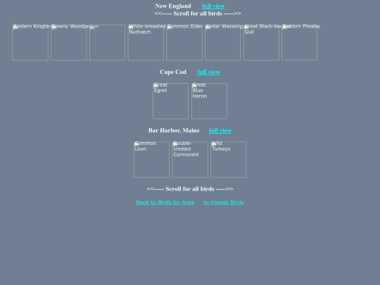 bird/L4/ne14hrz screenshot