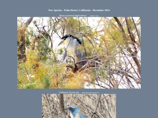 bird/L4/pd14/ns screenshot