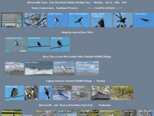 bird/L4/tx/txhrz screenshot