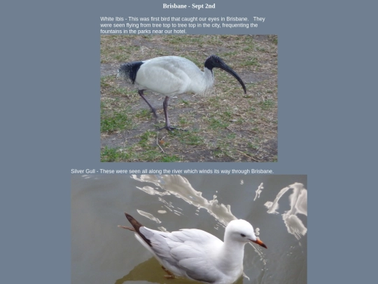 bird/au13/brs/brs screenshot