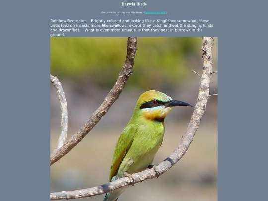 bird/au13/drwn/drwn screenshot
