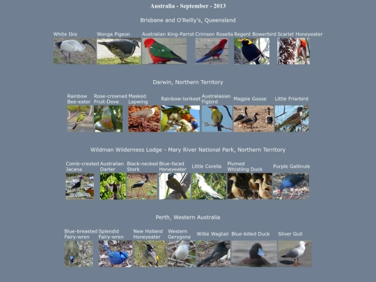 bird/au13/log screenshot