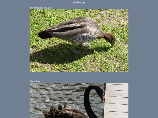 bird/au13/mbn/cty screenshot