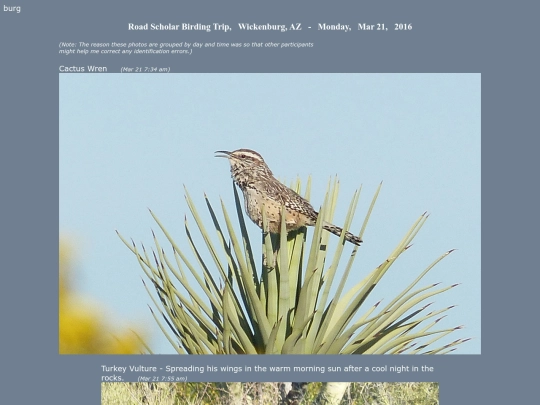 bird/az16/az screenshot