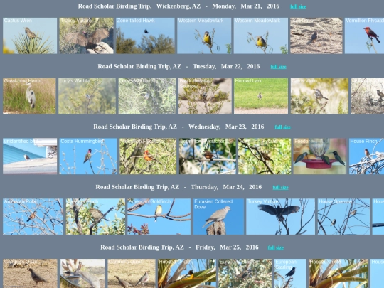 bird/az16/horz screenshot