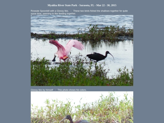 bird/fl15/150322 screenshot