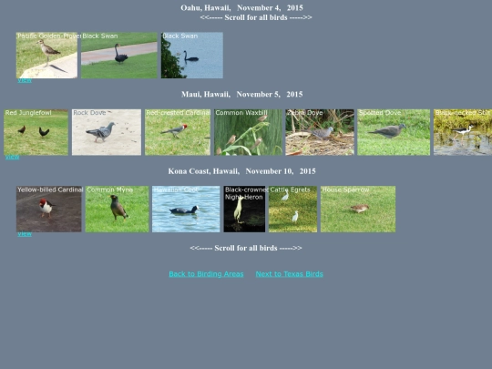 bird/hi15/novhrz screenshot