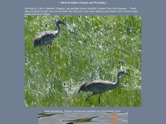 bird/id20/MW screenshot