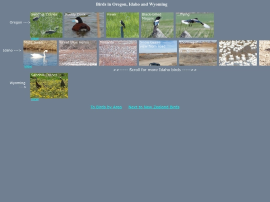 bird/id20/MWhrz screenshot