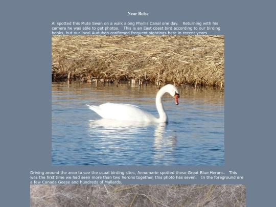 bird/id20/id20 screenshot