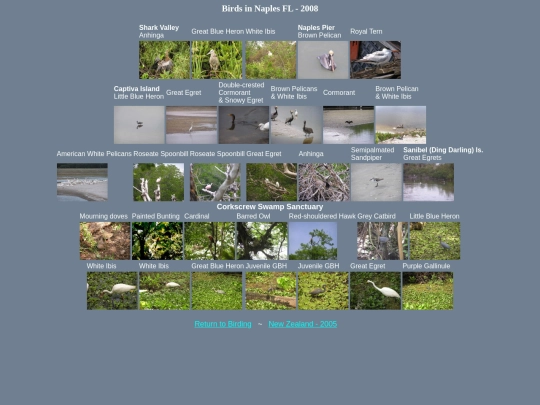 bird/naples08/ndx screenshot