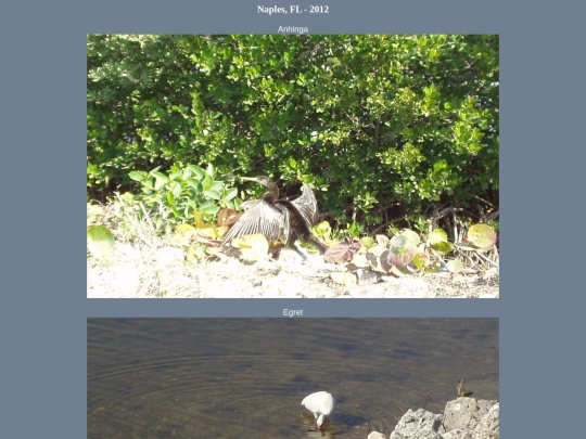 bird/oth_trps/pics screenshot
