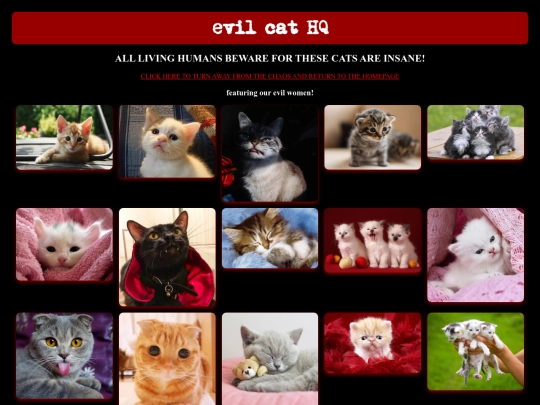 catcity screenshot