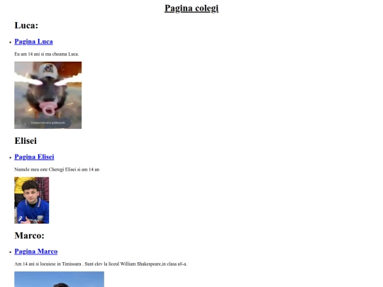 proiect/pagina toti screenshot