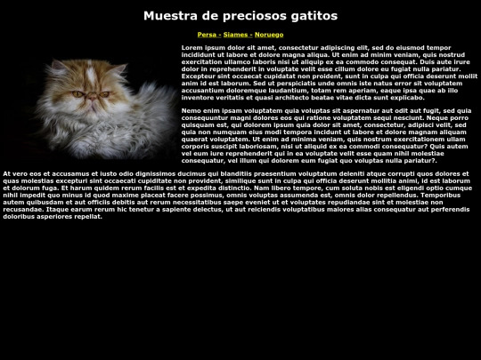 EXAMEN01 screenshot
