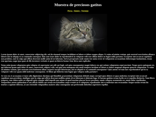 EXAMEN01/noruego screenshot