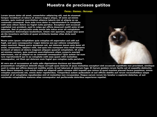 EXAMEN01/siamés screenshot