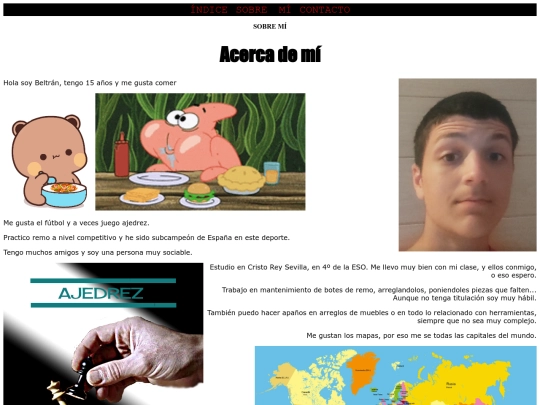 sin css/_acercade screenshot