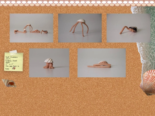 shellcreatures screenshot