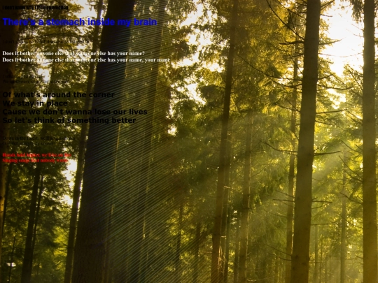 homework screenshot