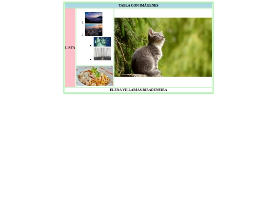 practicas de clase/practica tabla con imagenes screenshot