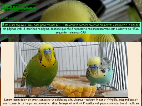 baseDS112 screenshot